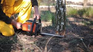 Best Utility Line Clearance  in Franklin Park, NJ