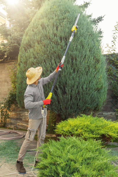 Best Artificial Turf Installation  in Franklin Park, NJ